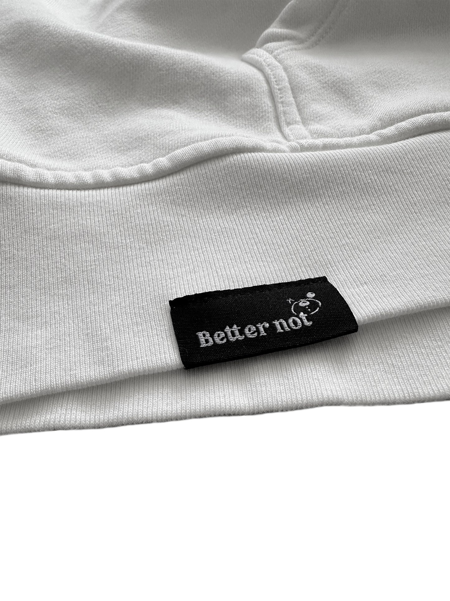 Have Fun Be "Safe" Hoodie v2